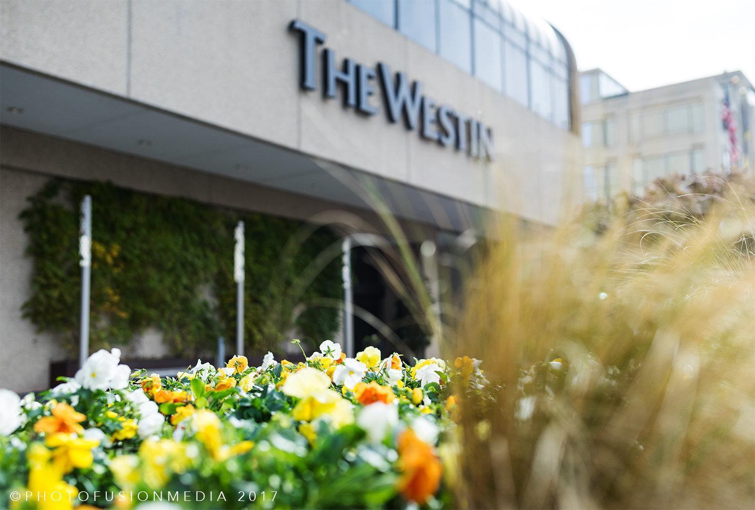 Hotel The Westin Crystal Reagan National Airport